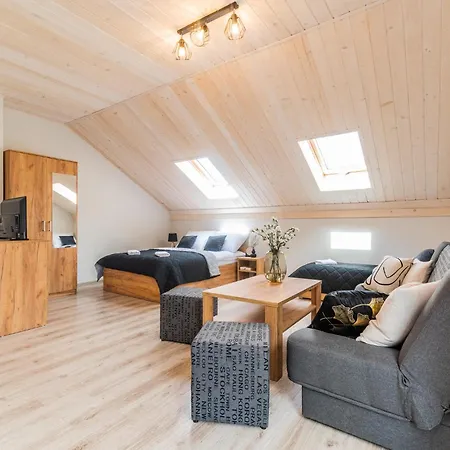 Dudowka 미코세보