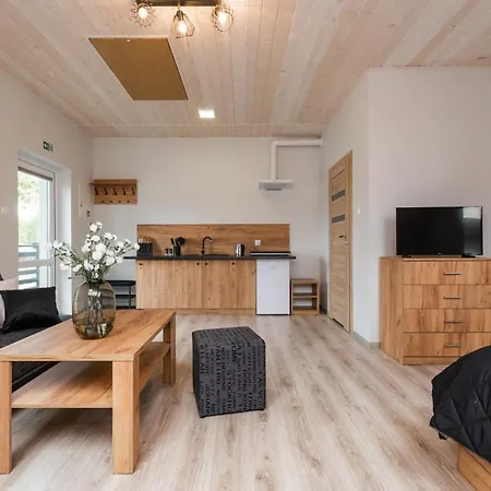 Dudowka Lejlighed Mikoszewo